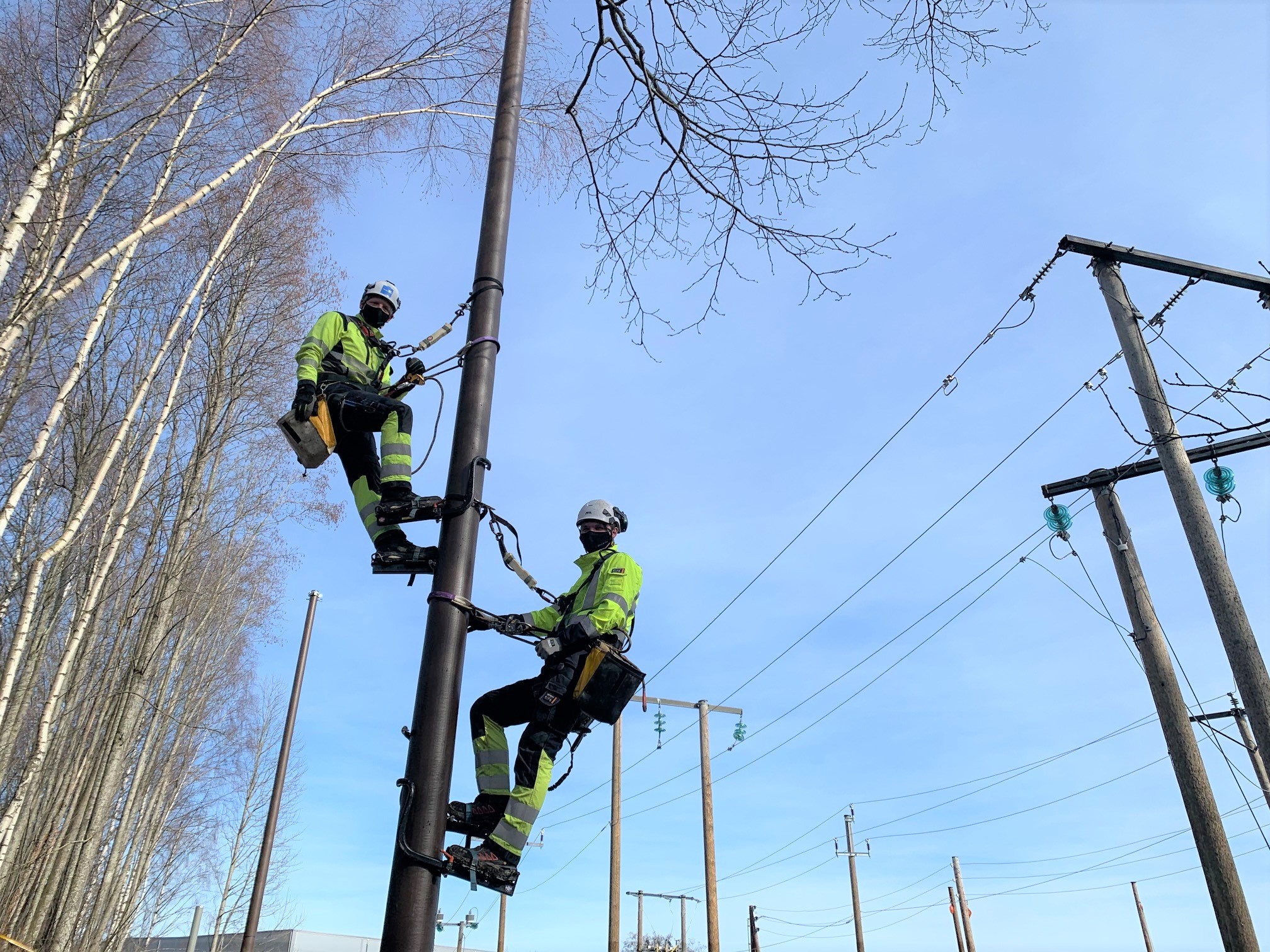 Omexom-Norway-green-pole